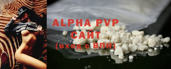 стафф Заводоуковск