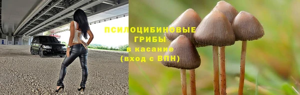 стафф Заводоуковск