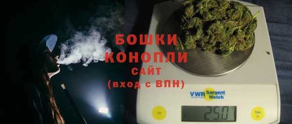 стафф Заводоуковск