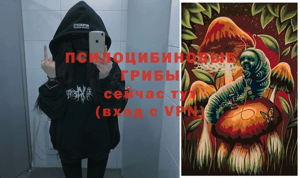 стафф Заводоуковск