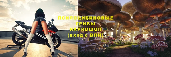 гашик Заволжье