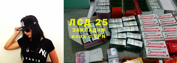 стафф Заводоуковск