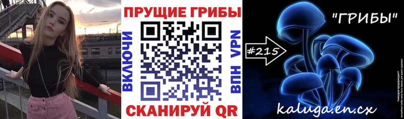 Купить  Малмыж  Галлюциногенные грибы Psilocybine cubensis 